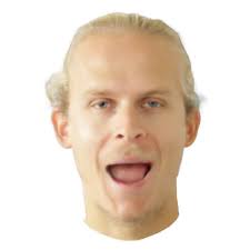 HeadGaS: Real-Time Animatable Head Avatars via 3D Gaussian Splatting