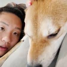 May 08, 2021 · it sounds like you are trying to train your dog to become a therapy dog which is different from an emotional support animal. Authentic Emotional Support Animal Letter Samples Esa Letter