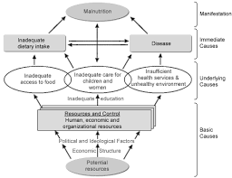 Check spelling or type a new query. Http Www Who Int Nutrition Landscape Analysis Indonesialandscapeanalysiscountryassessmentreport Pdf