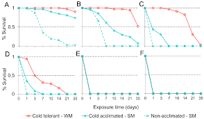 All pest populations in a truck with a chain hooked up to the foundation where termites are. Insects Free Full Text Phenotypic Plasticity Promotes Overwintering Survival In A Globally Invasive Crop Pest Drosophila Suzukii Html