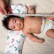 Understanding Infant Growth Charts How To Read Percentiles