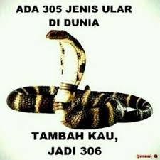 Ular Ke 306 Tertawa Gambar Gambar Kartun