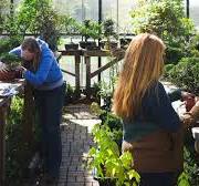 A North Georgia Hidden Gem: Plant City Bonsai