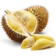 Check spelling or type a new query. 56 Durian Ideas