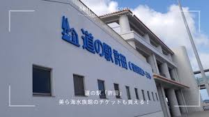 沖縄旅行ブログ