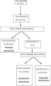 Image result for Isolated Proteinuria
