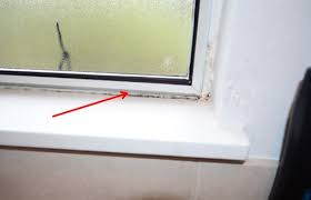 bathroom mold how to identify and get