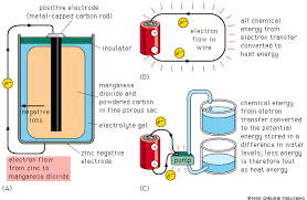 The Chemiosmotic Hypothesis