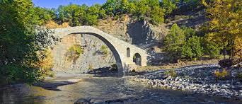 Image result for Grevea