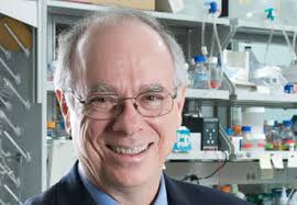 Center for Duchenne Muscular Dystrophy at UCLA