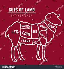 Meat is a processed ingredient that can be used as a very delicious dish. Lamb Or Mutton Cuts Diagram Butcher Shop Royalty Free Stock Vector 285032990 Avopix Com