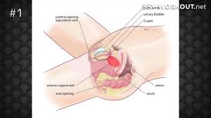 The perfect maid with veruca james. Cutie Throat Fucked By Casual Bf Janna Xxx Video On Vidz7 Club