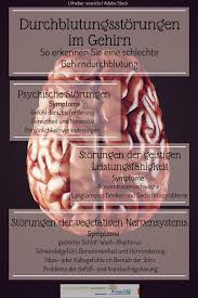 Durchblutungsstorungen Im Gehirn Storungen Der Psyche Der Leistungsfahigkeit Und Des Nervensystems Durchblutungsstorungen Nervensystem Gehirn