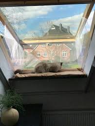 Katzenbalkon Im Dachfenster Katze Balkon Dachfenster Gardinen Fur Dachfenster