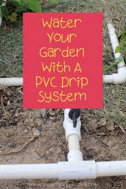 Pvc Drip Irrigation System For Your Garden Our Stoney Acres Drip Irrigation Diy Garden Watering System Drip Irrigation