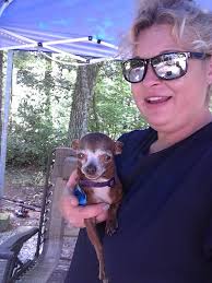 Lost Grey and White Rabbit in White Rock near 152nd and 28Ave