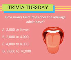 Buzzfeed staff the more wrong answers. Doyle Chiropractic And Family Wellness Triviatuesday Let S Have Some Fun With A Little Trivia Put Your Guess In The Comments And By The End Of The Day We Ll Let You Know