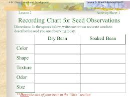 Resultado De Imagen Para Plant Growth Observation Sheet