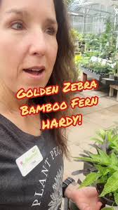 🌿Almost unreal, the coloration