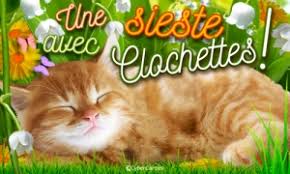 Résultat de recherche d'images pour "joli mois de mai anime"