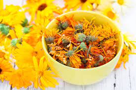 Dried calendula flowers for soap making. How To Use Calendula Plants Learn About Calendula Benefits And Uses