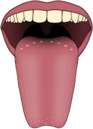 Tongue Png Cartoon Tongue Clipart Images Free Transparent Png Logos Choose from over a million free vectors, clipart graphics, vector art images, design templates, and illustrations created by artists worldwide! tongue png cartoon tongue clipart