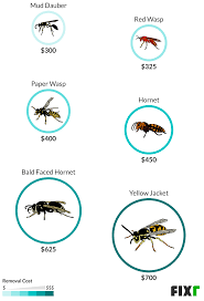 Baldfaced hornets are omnivorous, considered by many to be beneficial as they eat harmful insects, but they are calling a pest control professional is critical, as they have the necessary training to remove the nest safely. Wasp Nest Removal Cost Cost To Remove Wasps