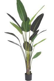 6 Bird Of Paradise Fp1081 Replica Plants And Decor Birds Of Paradise Birds Of Paradise Flower Plants