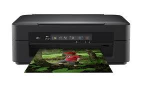We did not find results for: Telecharger Pilote Epson Xp 255 Gratuit Pour Windows Mac Imprimante Epson Imprimante Pilotes