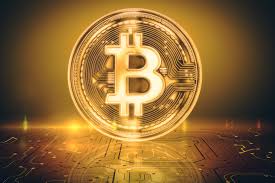 Image result for Professional cryptocurrency investment group
