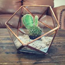 Rose Gold Glass Plant Terrarium Large Geometric Terrarium Perfect For Air Plants And Succulents Would Love For Aesthetic Room Decor Aesthetic Rooms Decor