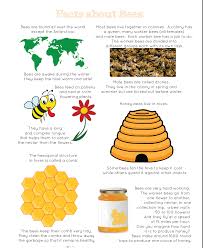 First, the ants insert seeds of the fruit plant in the cracks in tree bark. Bee Facts Homeschoolingmyveganzombie