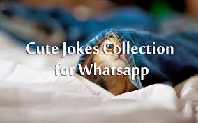 Best Jokes For Whatsapp Status To Make Others Laugh Ultra Wishes Here is the another collection of funny whatsapp status.