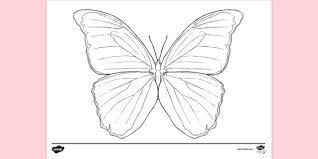 Free printable mandala and zentangle coloring pages. Free Butterfly Colouring Colouring Sheets
