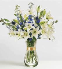 Image result for eustoma flamenco