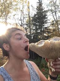 Interesting edible fungus found in conifer forests