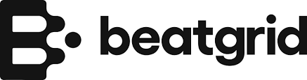 Beatgrid - Single-Source Cross-Media Audience Measurement