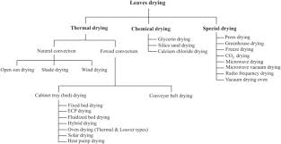 Vfbd auto controller vibratory fluid bed dryers.we offer vfbd auto controller, tray type conventional dryer ecp dryer, heating. Review Of Leaf Drying Mechanism And Influencing Parameters Drying Methods Nutrient Preservation And Mathematical Models Sciencedirect