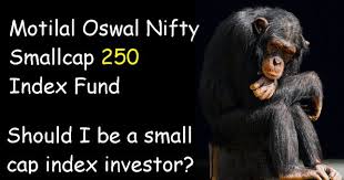 Motilal Oswal Nifty Smallcap 250 Index Fund Review Will This