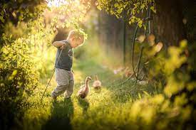 For years the idea of wallpaper was a tacky way to decorate because the patterns available were not pleasing. Nature Children Goose Birds Little Boy Duck Wallpaper Other Wallpaper Better