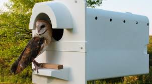 We did not find results for: Protecting Crops With Predators Instead Of Poisons Ensia