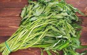 We did not find results for: 10 Aneka Jenis Sayur Sayuran Hijau Paling Sehat Kaya Nutrisi