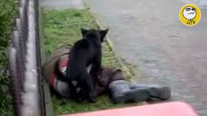 Los mejores videos de risa, videos chistosos. Los Mejores Videos De Humor Y Risas Divertidas