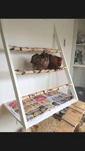 Easy Chicken Coop Guide Space Is Very Important Once You Plant An Organic Garden You Can Easily Underestim Easy Chicken Coop Chicken Coop Designs Chicken Diy