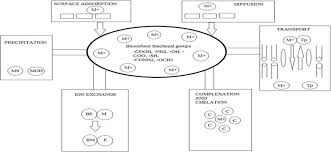 Application Of Biosorption For Removal Of Heavy Metals From