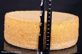 Biskuitteig Fur Torten Gudrun Von Modling Kuchen Und Torten Rezepte Kuchen Und Torten Torte Ohne Backen