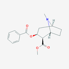 Cocaine is a tropane alkaloid and stimulant drug obtained primarily from the leaves of two coca species, erythroxylum coca and erythroxylum novogranatense. Cocaine C17h21no4 Pubchem