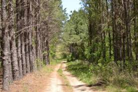Aug 31, 2020 · give me my own two feet and i'll hike to soak up the views — i love catching my breath while my quads burn from a climb. 5 Fun Off Road Trails And Parks Near Houston Russell Smith Honda Blog