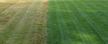 May 28, 2019 · water the lawn until the top six or eight inches of soil is wet, which should give the grass the inch of water it needs. How Often Do You Water Your Lawn Pure Green Lawn Care Lansing Michigan