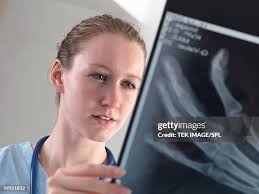 30,814 The X Ray Stock Photos, High-Res Pictures, and Images